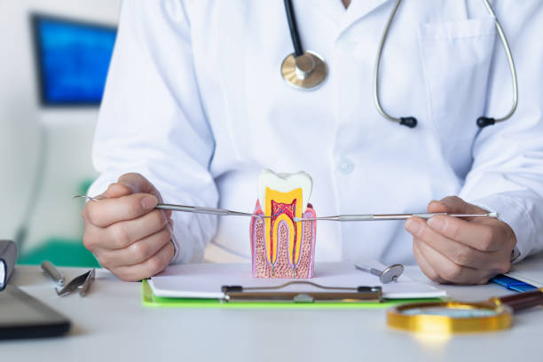Best Broken or Chipped Tooth Repair in Newark, NY